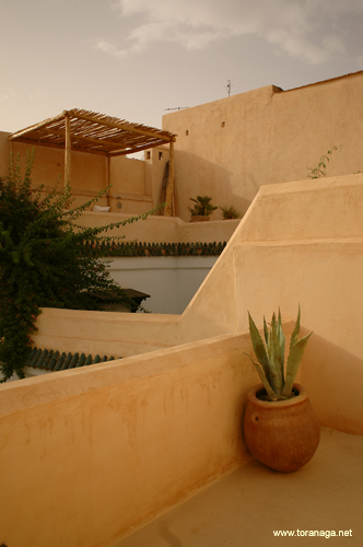 riadmarrakech31