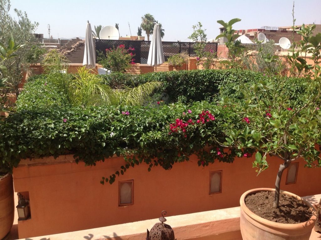 riadmarrakech24