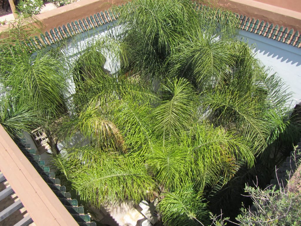 marrakechriad31