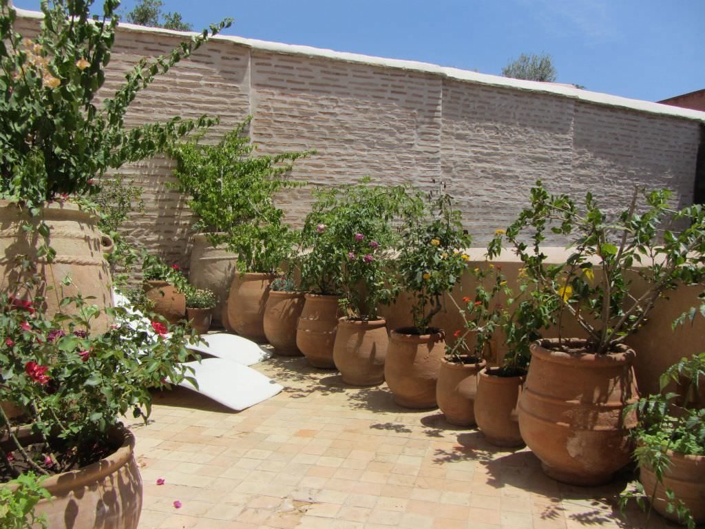 marrakechriad26