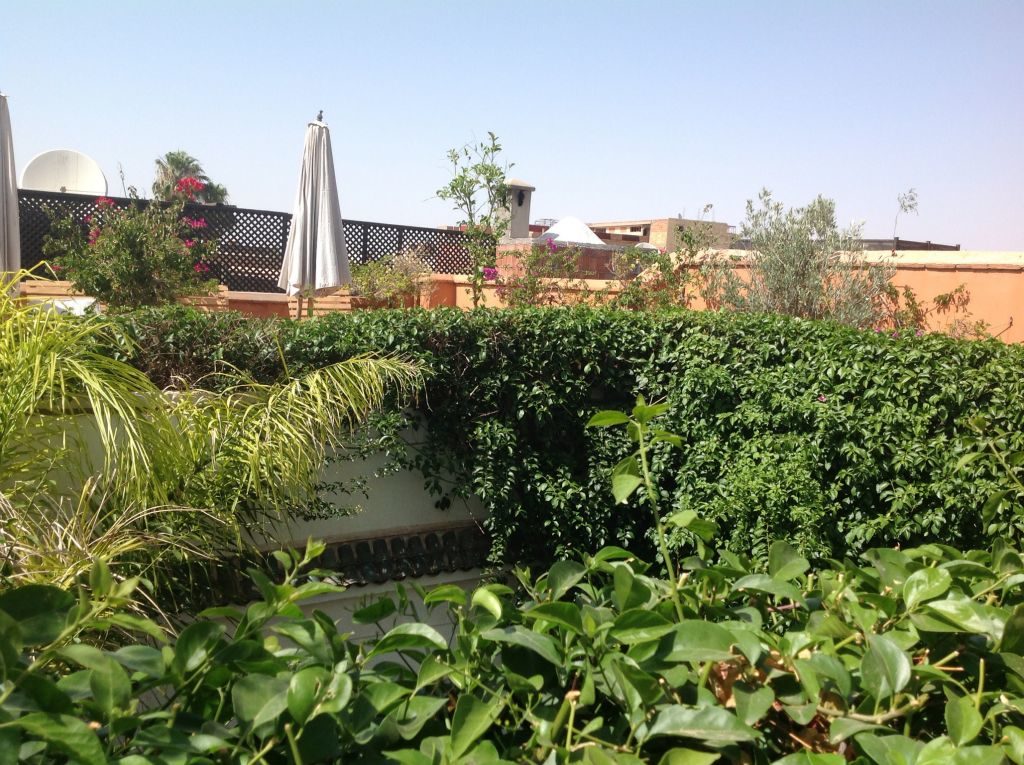 riadmarrakech26