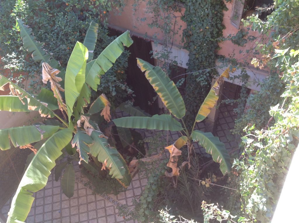 Marrakechriad9