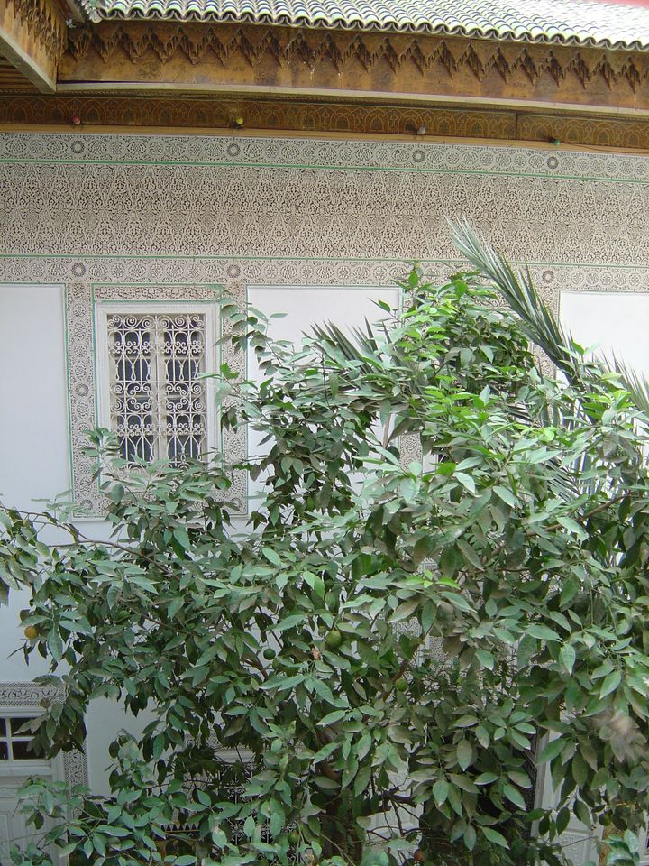 riadmarrakech4