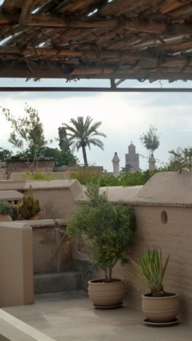 riadmarrakech33