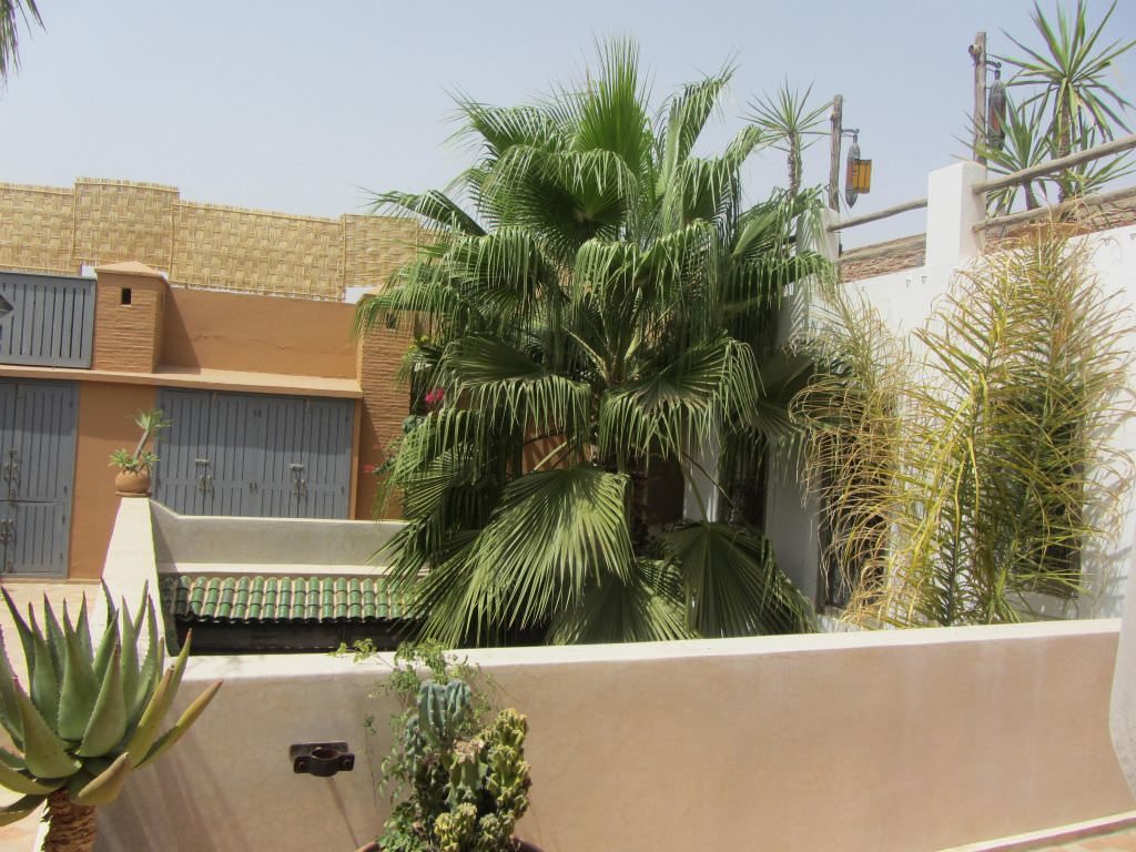 Marrakechriad49