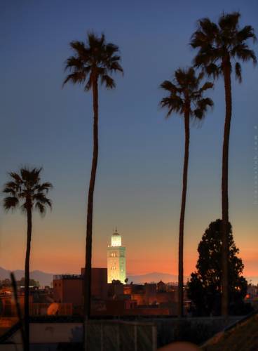 Riads-for-sale-Marrakech-Riad-for-sale-Marrakech-Marrakech-Realty-Marrakech-Real-Estate-Immobilier-Marrakech-Riads-a-vendre-Marrakech-89801.jpg