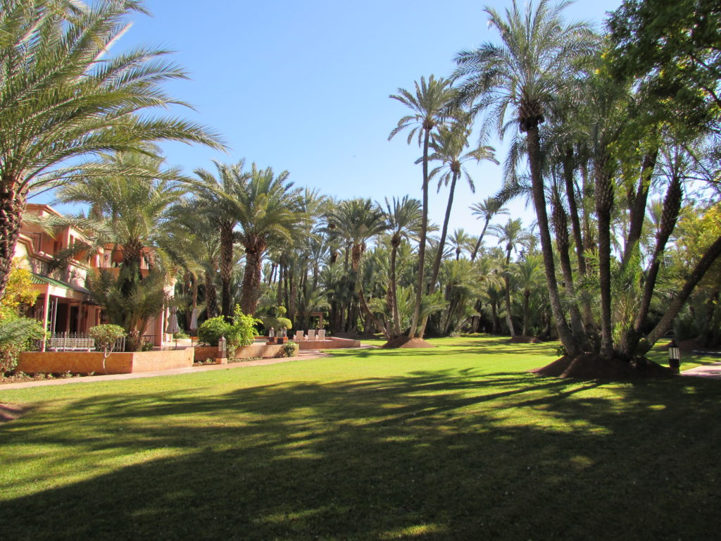 villamarrakech5