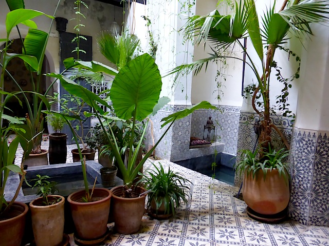riadmarrakech5