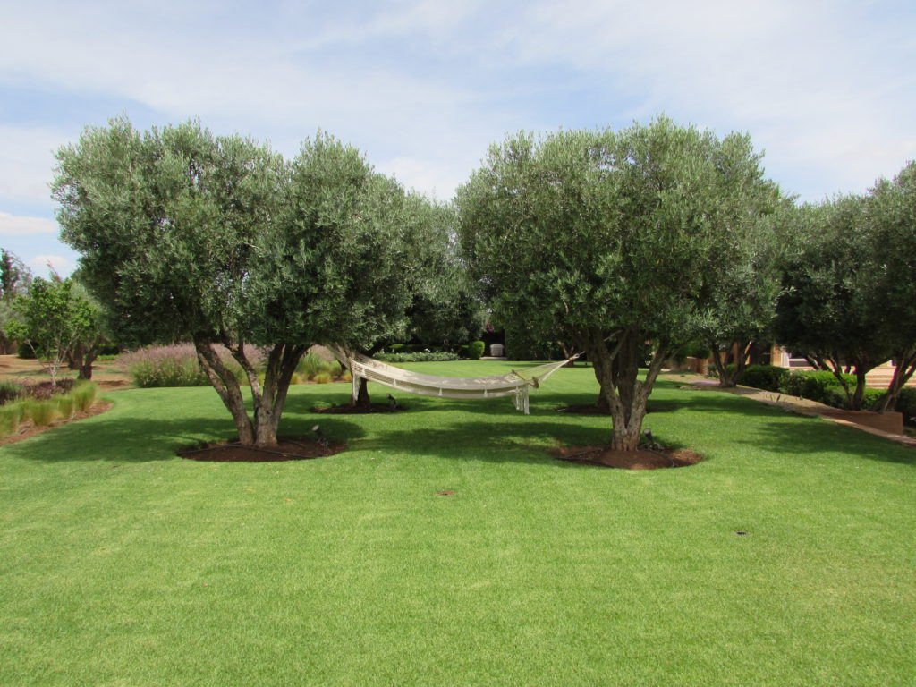 villamarrakech4