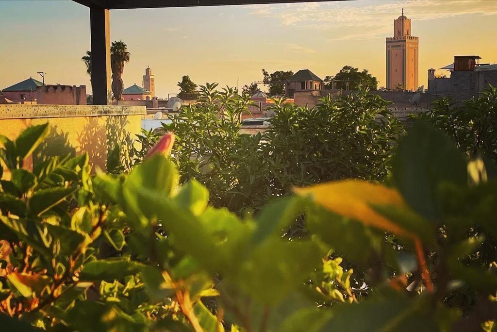 5A5ADA28-BDA3-41BE-A757-E4D0E6AFA673