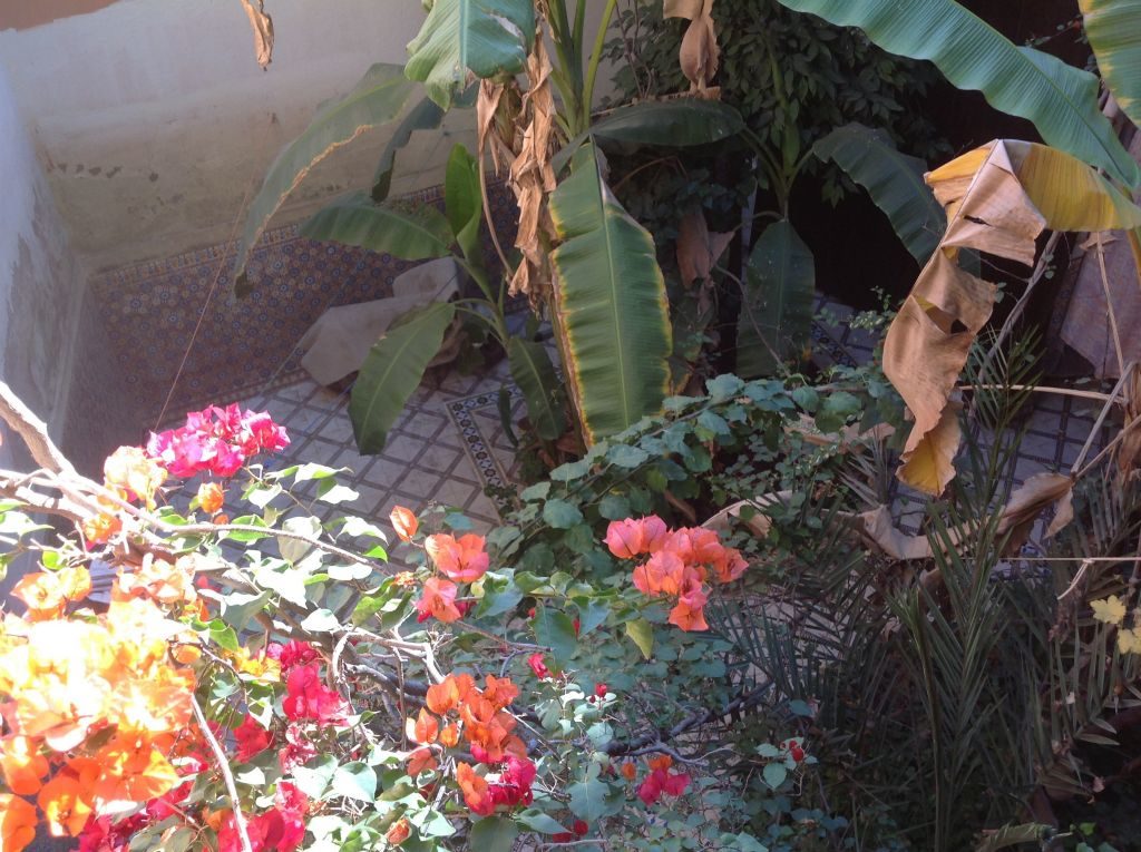 Marrakechriad9