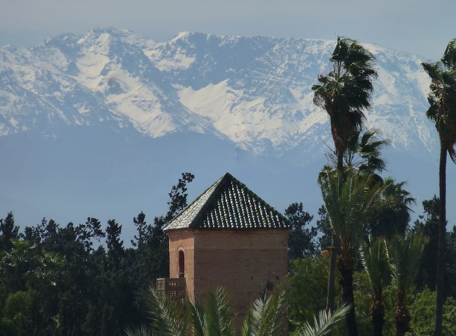 Riads-for-sale-Marrakech-Riad-for-sale-Marrakech-Marrakech-Realty-Marrakech-Real-Estate-Immobilier-Marrakech-Riads-a-vendre-Marrakech-03.jpg