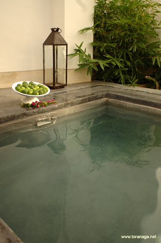 riadmarrakech6