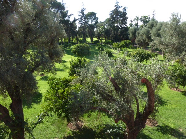 riadmarrakech7