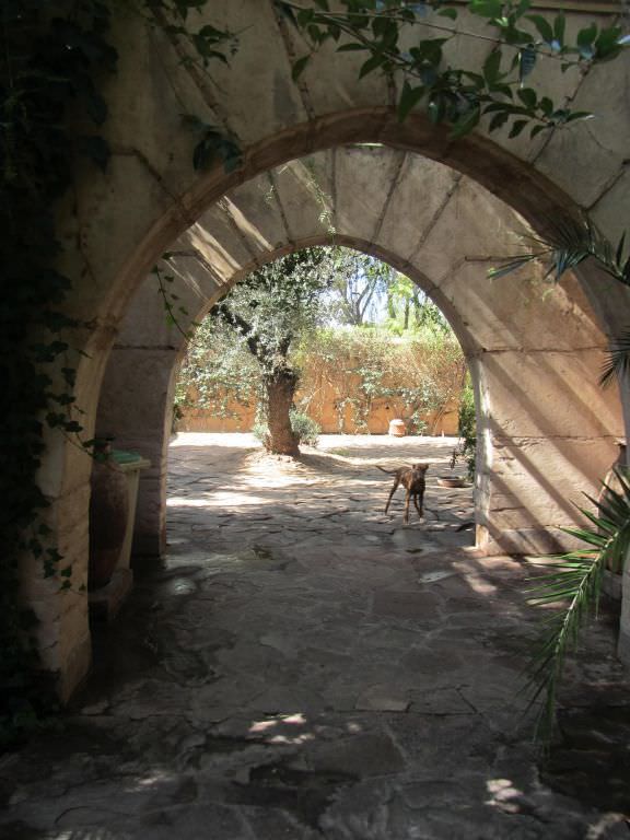 villamarrakech7