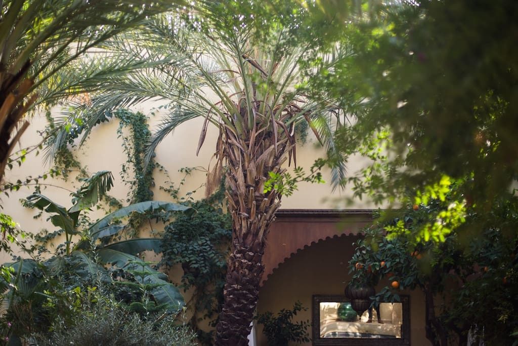 riadmarrakech13