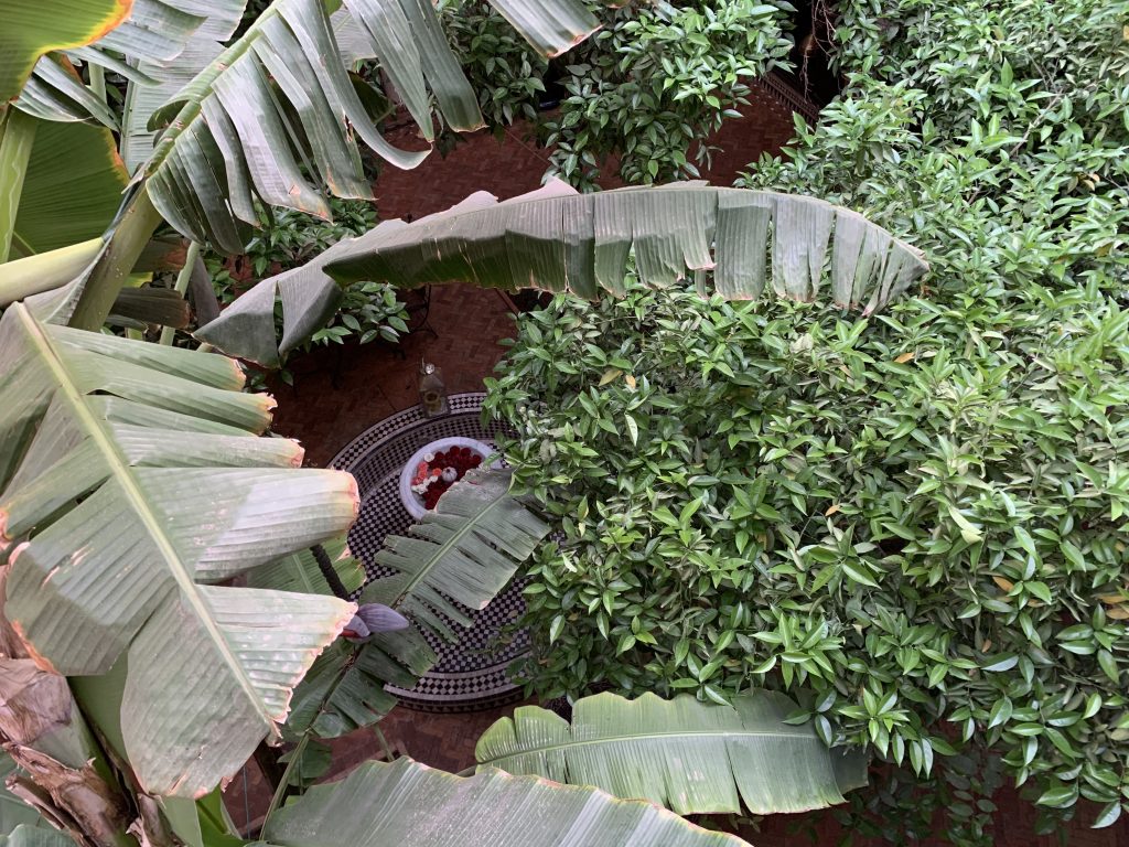 B48114F7-F70F-47F4-A2BE-A4047B8C585E