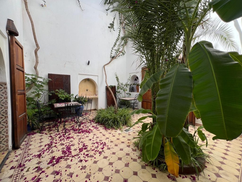 C3C665AF-CD06-4B82-A70C-5B647B267C45