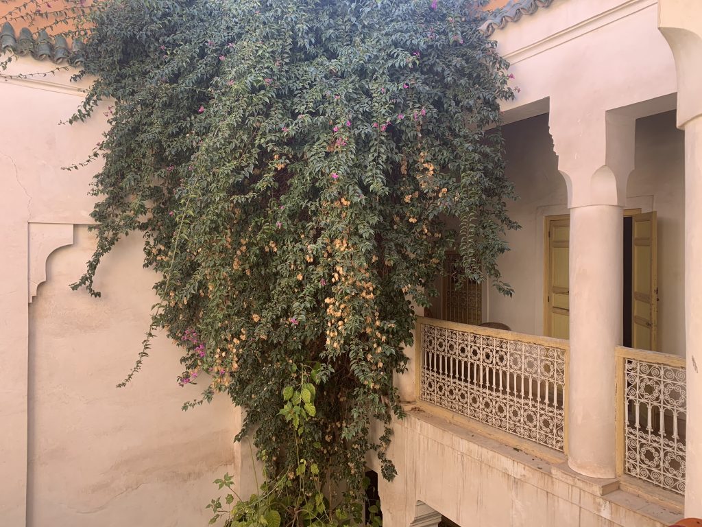 Riads-for-sale-Marrakech-Riad-for-sale-Marrakech-Marrakech-Realty-Marrakech-Real-Estate-Immobilier-Marrakech-Riads-a-vendre-Marrakech-03.jpg