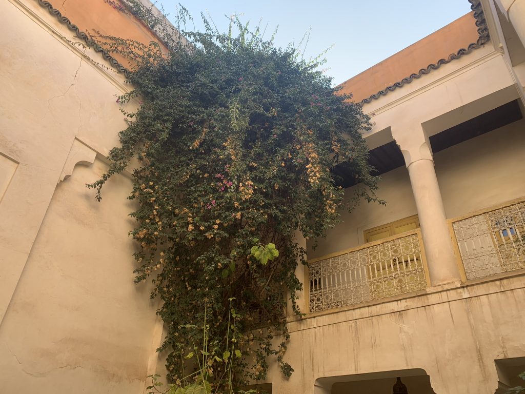 Riads-for-sale-Marrakech-Riad-for-sale-Marrakech-Marrakech-Realty-Marrakech-Real-Estate-Immobilier-Marrakech-Riads-a-vendre-Marrakech-02.jpg