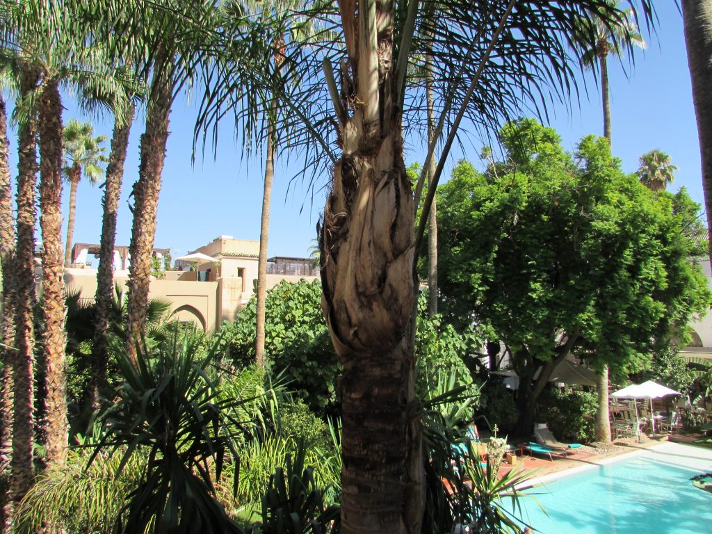 Riads-for-sale-Marrakech-Riad-for-sale-Marrakech-Marrakech-Realty-Marrakech-Real-Estate-Immobilier-Marrakech-Riads-a-vendre-Marrakech-02.jpg