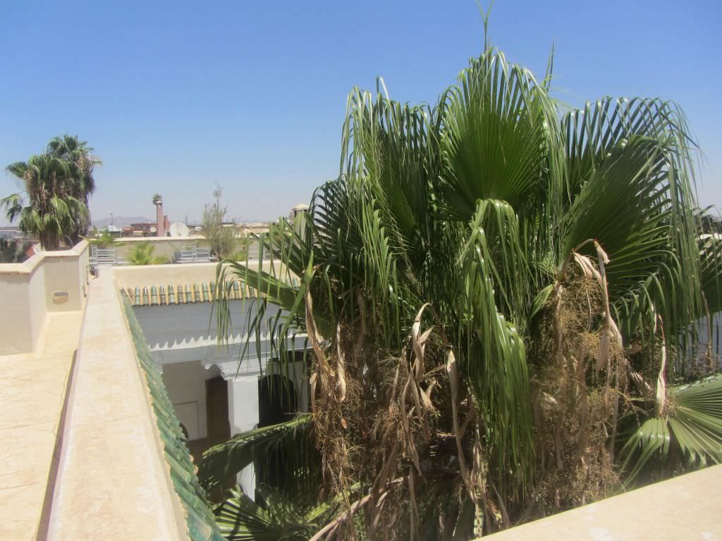 MarrakechRiadT1a