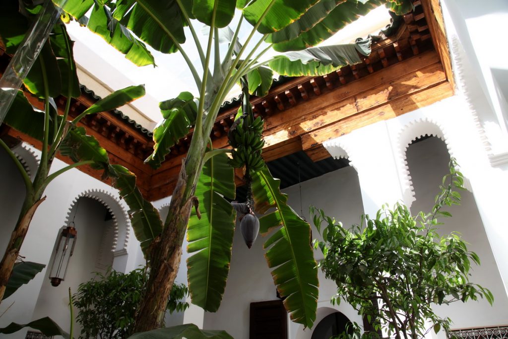 riadmarrakech1