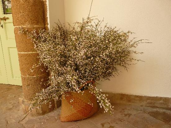 Essaouirariad11