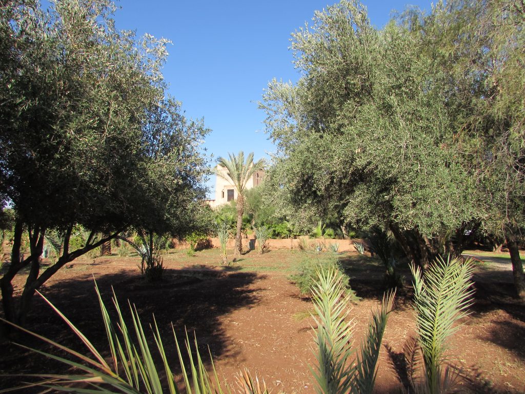 villamarrakech4