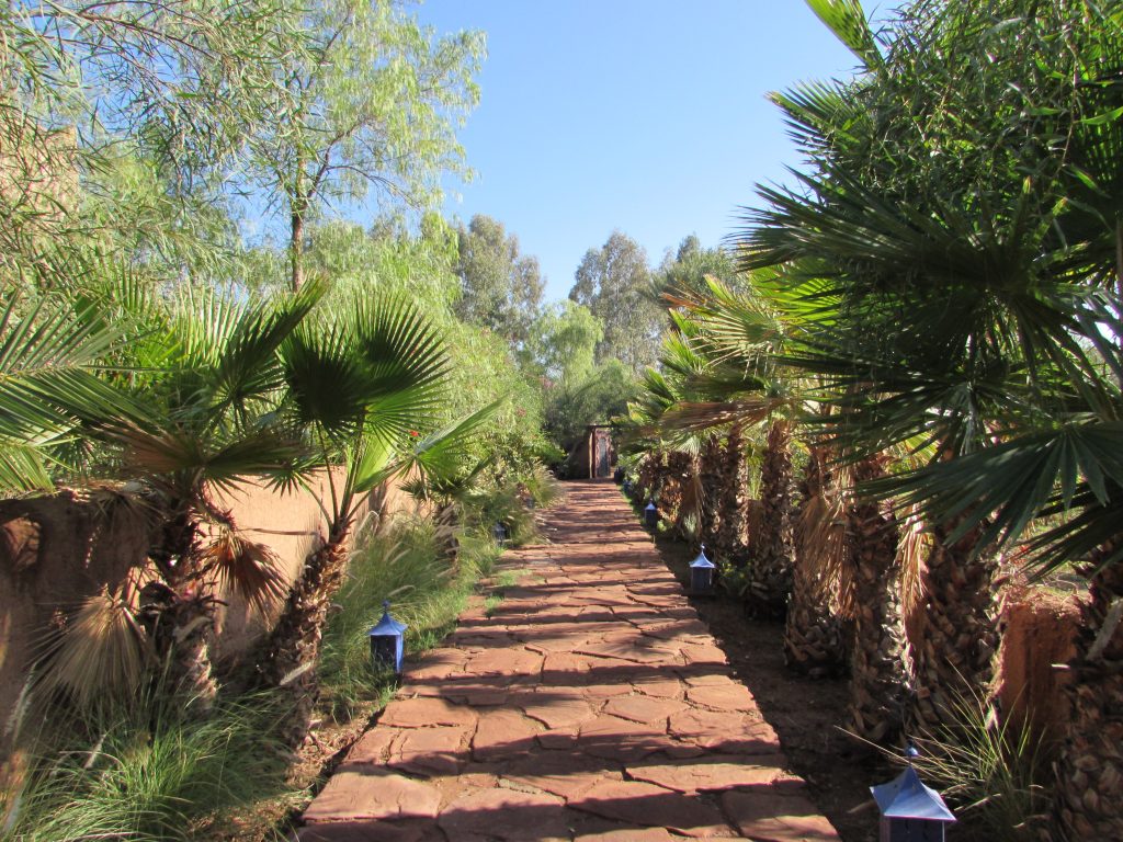 villamarrakech6