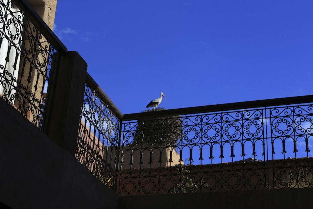 riadmarrakech12