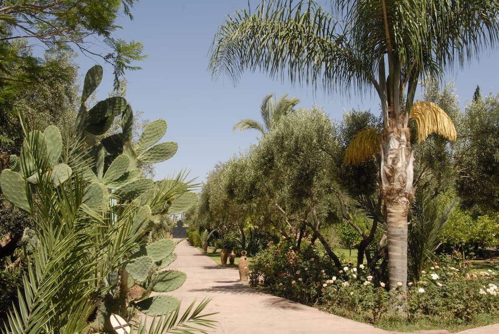 villamarrakech6