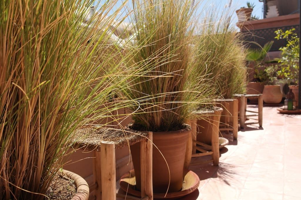 riadmarrakech7
