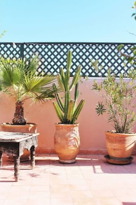 riadmarrakech16