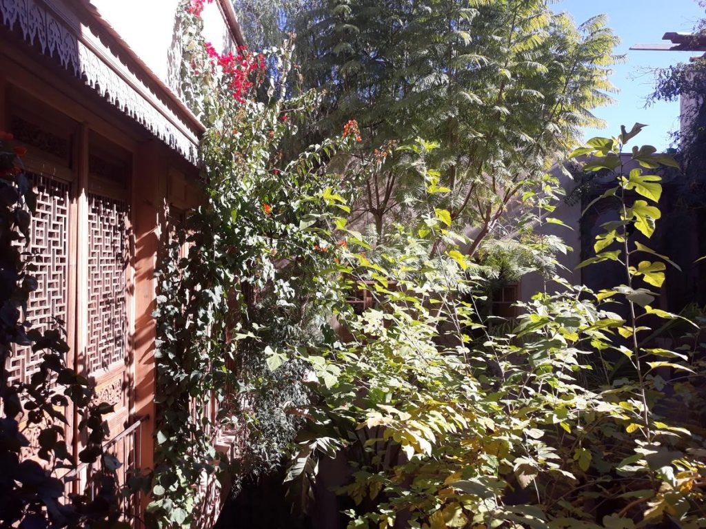  Riads-for-sale-Marrakech-Riad-for-sale-Marrakech-Marrakech-Realty-Marrakech-Real-Estate-Immobilier-Marrakech-Riads-a-vendre-Marrakech-21.jpg