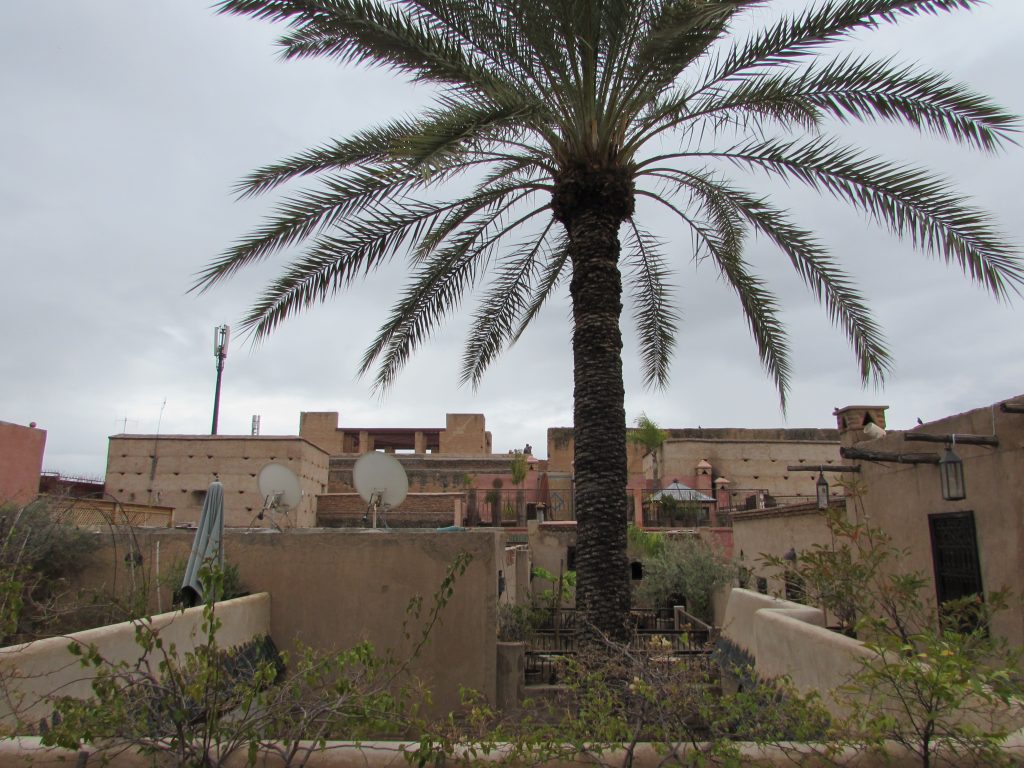 riadmarrakech10