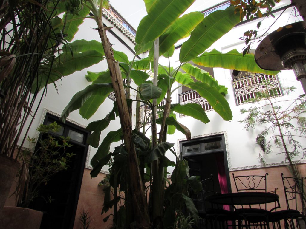 riadmarrakech7