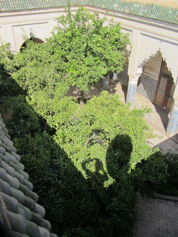 riads 259